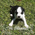 Yolanda Wesley - @teposec268 - Instagram
