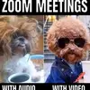 yolanda.wiley - @yolanda.wiley - TikTok