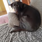 Yolanda Wilhelm - Facebook