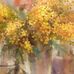 Yolanda Wilhelm - Facebook