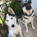 Yolanda Wolfe - Facebook