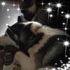 Yolanda Wolfe - @yolandawolfe - TikTok