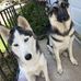 Yolanda Wolfe - Facebook