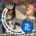 Yolanda Wright - Facebook
