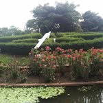 sline - @yolandejoseph1 - Instagram