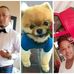 Yolande Pretorius - Facebook