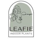 Yolande Smith - @leafie_cpt - Instagram