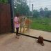 Yolande Smith - Facebook