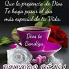 Yoly Baez - @yoly.baez - TikTok