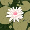Yoly - @yoly.lopez13 - TikTok