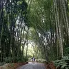 Yoly Marcela Peña Murcia - @yoly_happy - TikTok