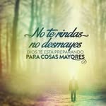 Yoly Peña - @yoly.pena.129 - Instagram