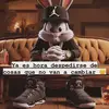 Yomelly Ramirez - @yomelly.ramirez - TikTok