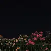 𝑐ℎ𝑢𝑦𝑜𝑚_ - @chu._.yomi - TikTok