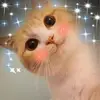 Yomi Chu - @yomichu64 - TikTok