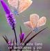 Yonathan Martinez - Facebook