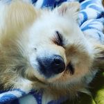 WI YONG BAIK - @wiyongbaik - Instagram