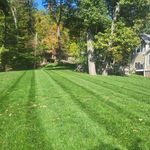 Yoni Lemus - @jlemuslandscaping - Instagram