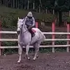 Yoni Ramon - @yoni.ramon1 - TikTok