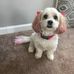 Yonni Lee - Facebook