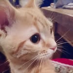 @yoosuke.9486 - Instagram