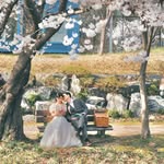 윤쏘니홈ㅣ신혼집 홈스타일링🌿 - @yoonsony_home - Instagram