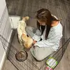 yoona - @y.oonalee - TikTok