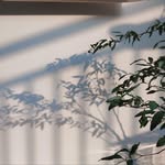 Yoonjin Lee - @flower_rosesinnovember - Instagram
