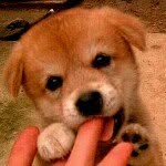 Yoonjin Lee - @jin8888 - Instagram