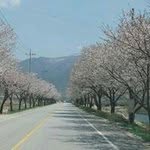 Yoonjin Lee - @yoonjin.lee.581 - Instagram
