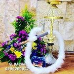 Yosef Green - @greenyosef - Instagram