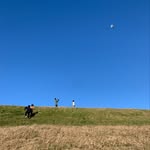 Yoshiyuki Nishio - @yoshiyukinishio - Instagram