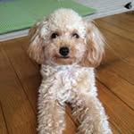 Yoshiko Okada - @1018_moko - Instagram
