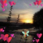 Yoshiko Okada - Facebook