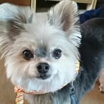 Yoshiko Okada - @yopi.happy - Instagram