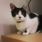 Yoshiko Okada - @yoshikookada - Instagram