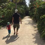 Yoshitaka Ando - @yoshitaka__ando - Instagram