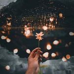 Yosra Elsayed - @yosrafars - Instagram
