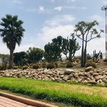 Yossi katz - @yossik58 - Instagram