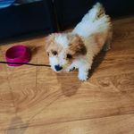 Yossi - @yossikatz2008 - Instagram