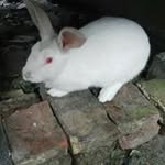 You Cao - @you.cao - Instagram