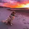 You Cao - @you.cao4 - TikTok