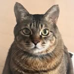 友草司 - @youcaosi - Instagram