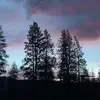 you too - @explain699 - TikTok