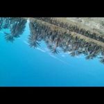 Safia Youcef - @safia.youcef - Instagram