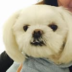 Youjung Lee - @youjung.lee.9404 - Instagram