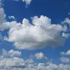 youmilees - @youmilees - TikTok