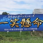 王子ヤングバッファローズ - @ohji.young.buffaloes - Instagram