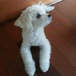 Youn Oh Kim - @ykim8140 - Instagram
