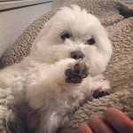 Young Amos - @richard_wilson8901 - Instagram